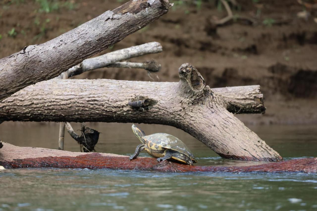 Iguanitas Lodge Pital  Zewnętrze zdjęcie